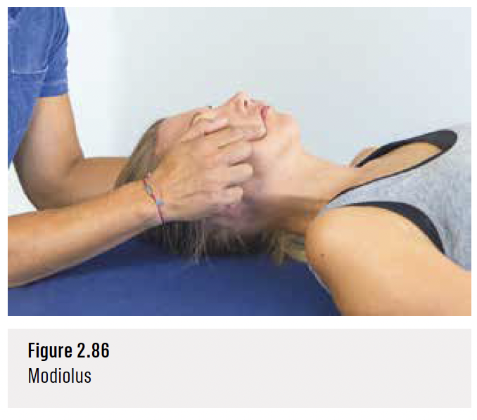 One person is lying on their back while another person presses their cheek with their thumb and index finger, demonstrating the Modiolus structure. The text below the image reads 